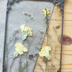Pressed Flower in glass flower painting DIY Vintage panel carnation dried pressed Flowers in Glass dried flower