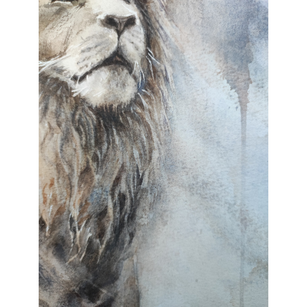 IMG_20220108_100620 — копия.jpg