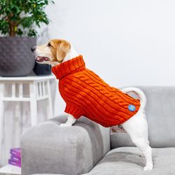 Modish knitted dog sweater. Back length 17 inches, 45 cm. Warm clothes for dogs. Size L