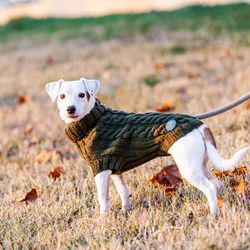 comfy knitted sweater for small dog. warm clothes for dogs. size m. length 15 inches.