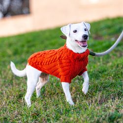 Trendy knitted sweater for small dog. Length 14 inches. Warm clothes for dogs. Size M.