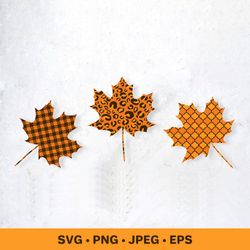 fall maple leaves svg.  buffalo plaid, leopard, arabesque