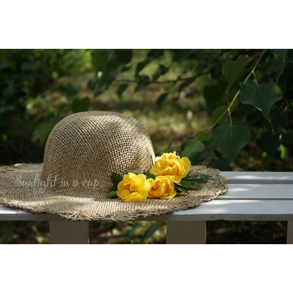 Printable photo of yellow roses lying on a straw hat.