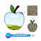 Apple Teacher Add your own Canva Photo Frame.png