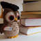 owl scientist.jpg
