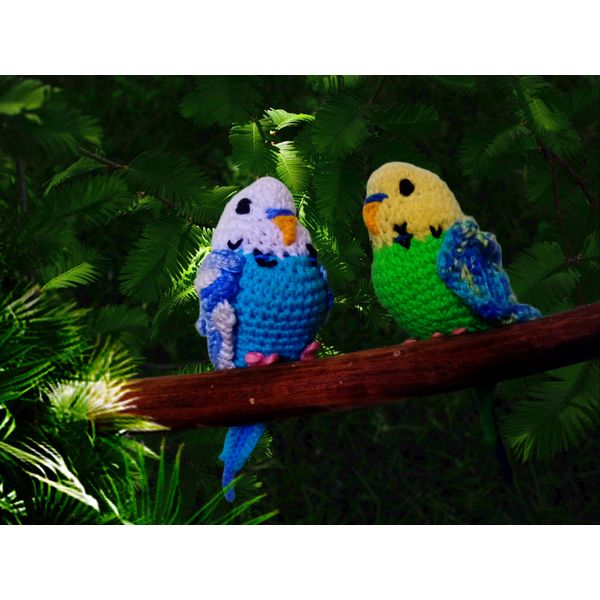 parakeet_parrot_crochet.jpg