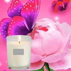 Essential Oil Luxury Candles 220g