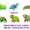 turtlesETSY.png