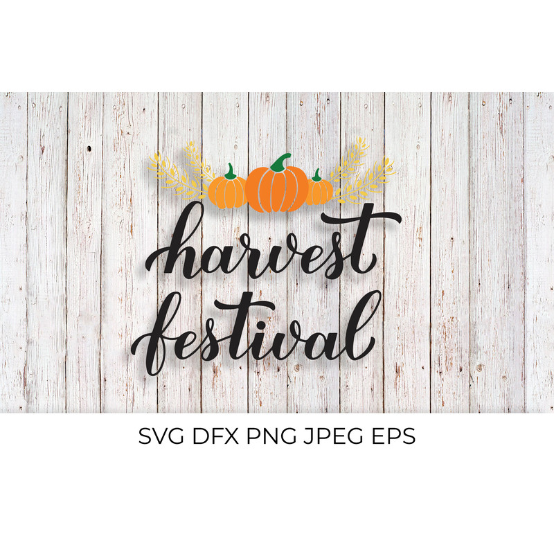 Harvest002-Mockup1.jpg