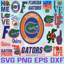 florida gators football team svg, florida gators svg, n c a a teams svg, n c a a svg, png, dxf, eps, instant download