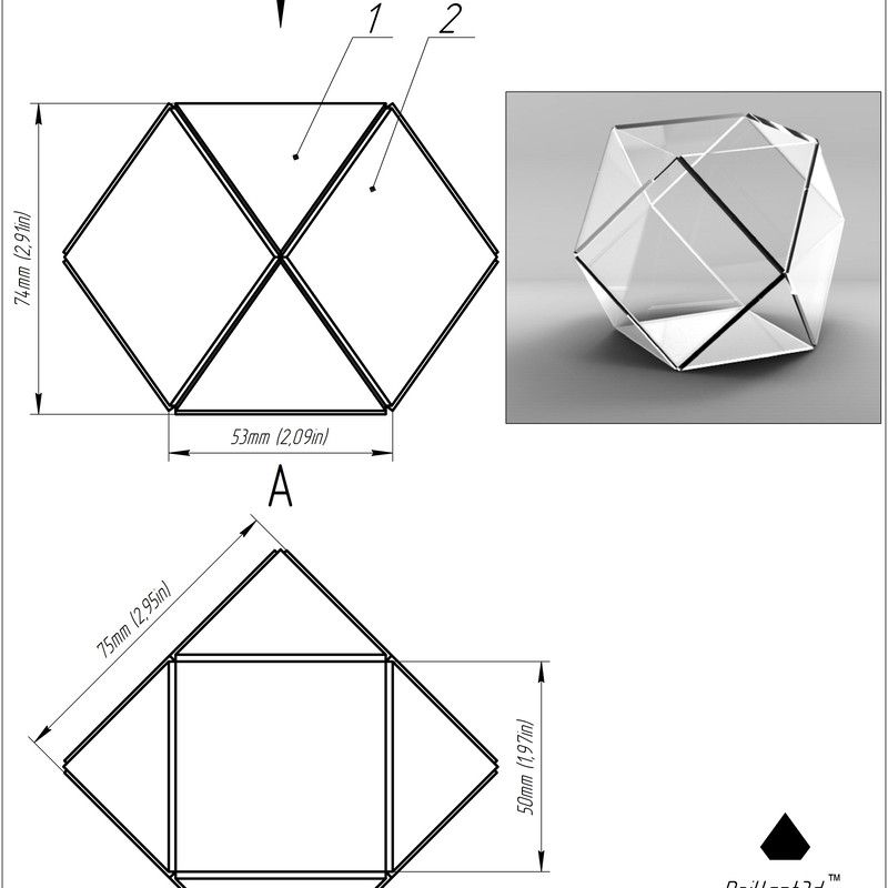 terrarium project 51(1).jpg