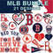 Boston Redsox 21.jpg