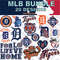Detroit Tigers 20.jpg