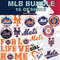 New York Mets 16.jpg