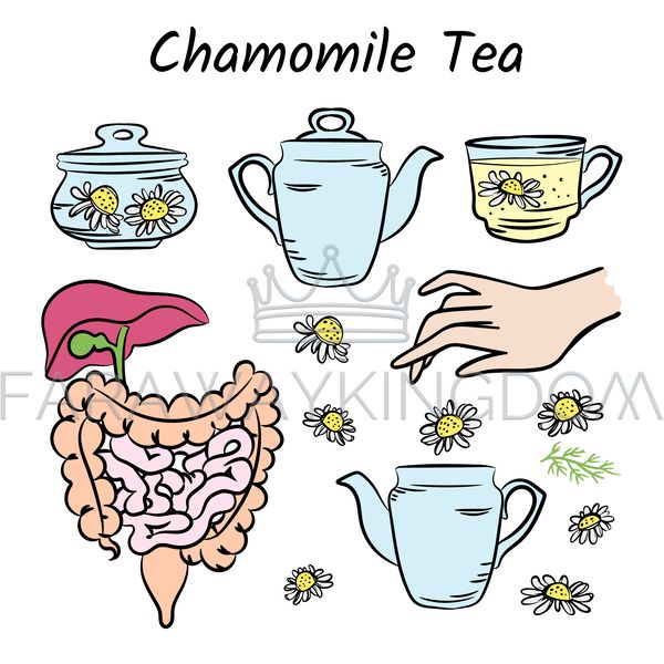 CHAMOMILE TEA COLOR [site].jpg