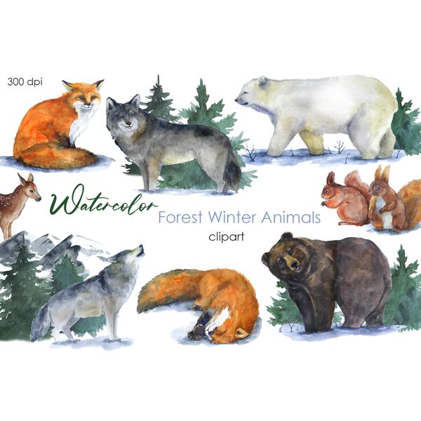 watercolor forest animals.jpg