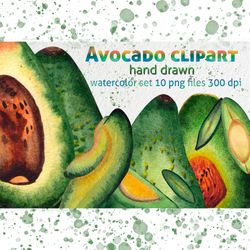 avocado clipart watercolor set of 10 png files 300 dpi high resolution