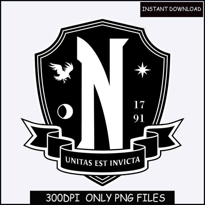 Nevermore Academy Mens, Womens & Kids T-shirt or Hoodie - kids gift - kids t-shirt - kids hoodie - Wednesday t-shirt - raven.jpg