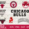 NBA0104202211- Chicago Bulls.jpg