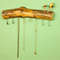 hanger with mushrooms 1.jpg