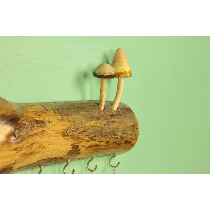 hanger mushrooms.jpg