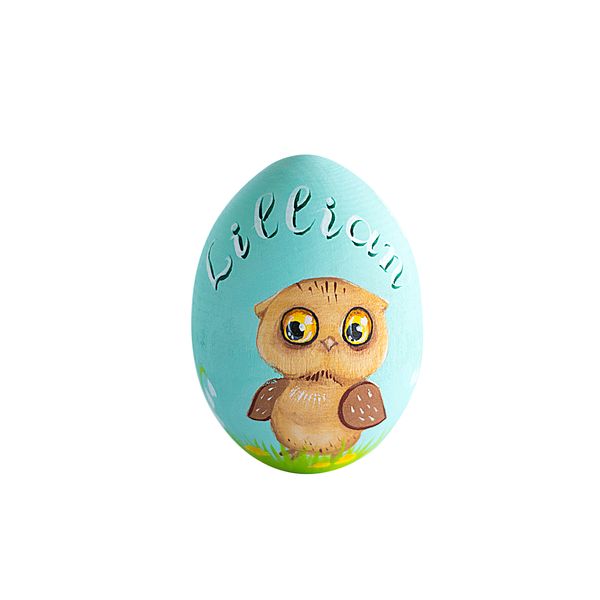 cute owl on a mint easter egg