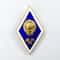 8 Soviet Russian sign Technical Institute University Graduation Badge Enamel USSR 1970s.jpg
