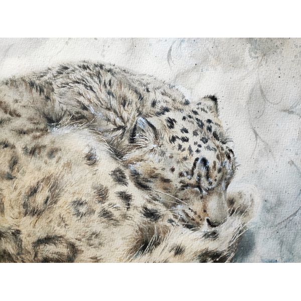 Snow Leopard Original Snow Leopard Painting Leopard Watercol Inspire snow-leopard-original-snow-leopard-painting-leopard-watercol-inspire