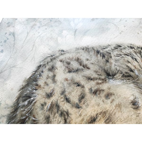 Snow Leopard-original-painting-buy-3.jpg