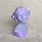 Lady with flowers in her hair soap