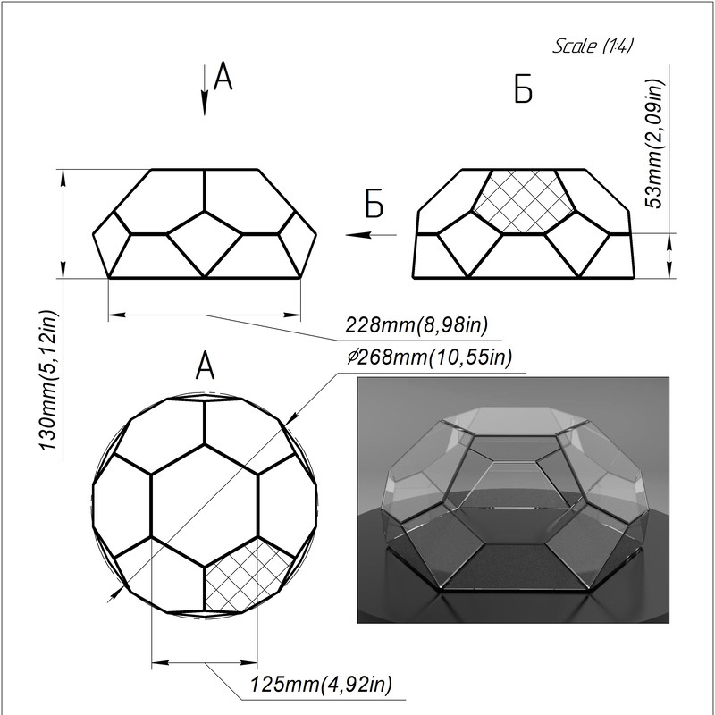 Terrarium pattern.jpg
