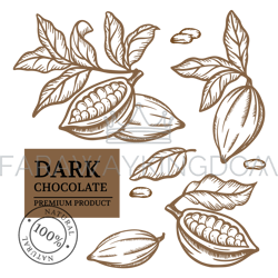 cocoa chocolate design label monochrome vector illustration set