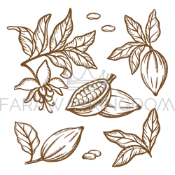 cocoa branches sketch monochrome clip art vector illustration set