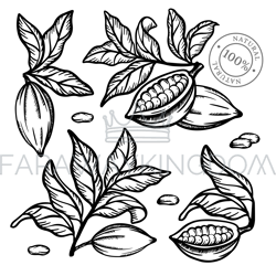 cocoa collection monochrome clip art vector illustration set