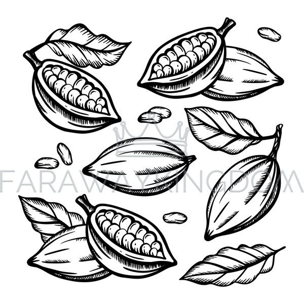 COCOA FRUIT [site].png