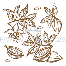 cocoa tree branches monochrome clip art vector illustration set