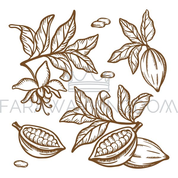 COCOA TREE BRANCHES [site].png