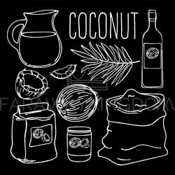coconut black paleo diet natural vector illustration set