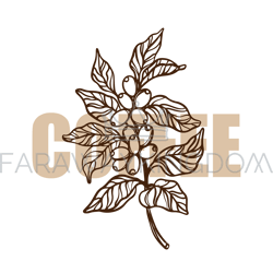 coffee branch outline design label vector illustration set
