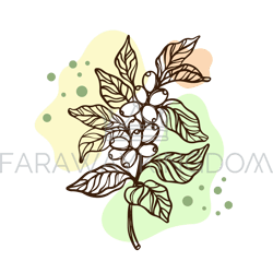 coffee on a branch design sticker label vector illustration set