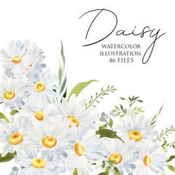 Watercolor Daisy clipart, Floral illustration, Chamomile spring flowers, Wildflower arrangement and wreath