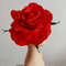 Big red rose Fascinators Kentucky derby hat (5).jpeg