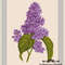 Lilac-01.jpg