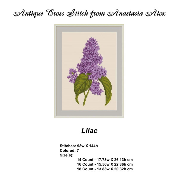 Lilac-02.jpg