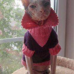 cat clothes,cat sweater,sphynx clothes,sphynx sweater,sphynx