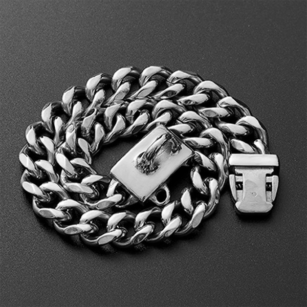 02_dog_chain_collar_with_secure_buckle.jpg