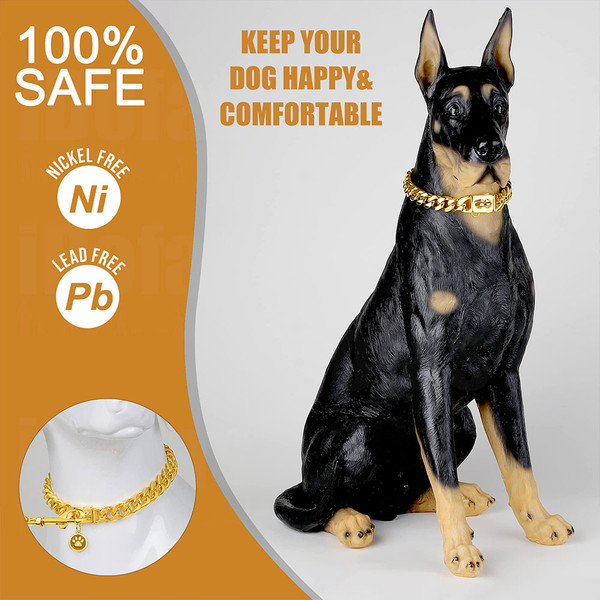 10_dog_chain_collar_with_secure_buckle.jpg