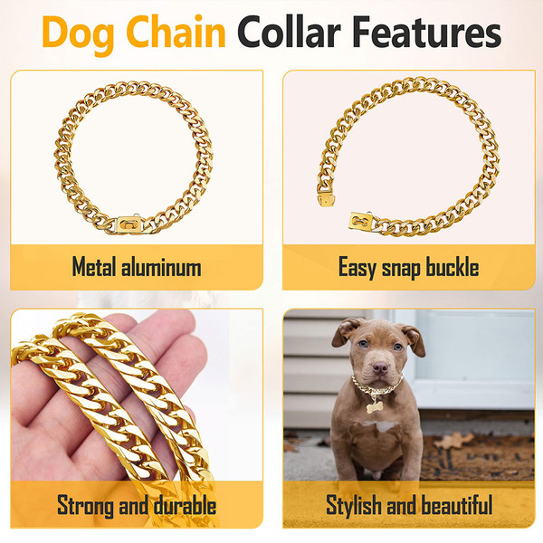 08_dog_chain_collar_with_secure_buckle.jpg