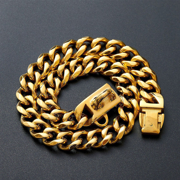 04_dog_chain_collar_with_secure_buckle.jpg