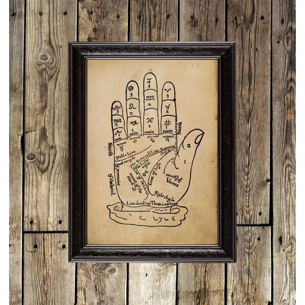 palmistry-is-divination-by-the-lines-of-the-hand.jpg